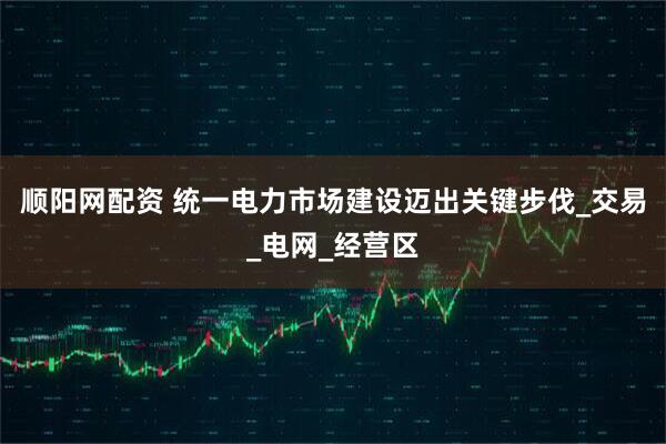 顺阳网配资 统一电力市场建设迈出关键步伐_交易_电网_经营区